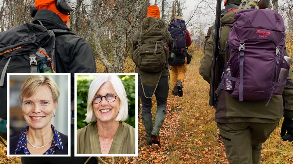 Photo shows hunters walking in a forest environment. Small pictures of Erika Andersson Cederholm and Carina Sjöholm is inserted.