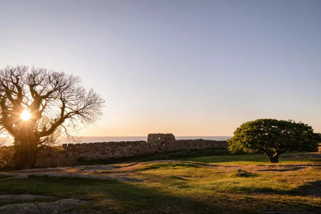 A sunset by a stone wall.