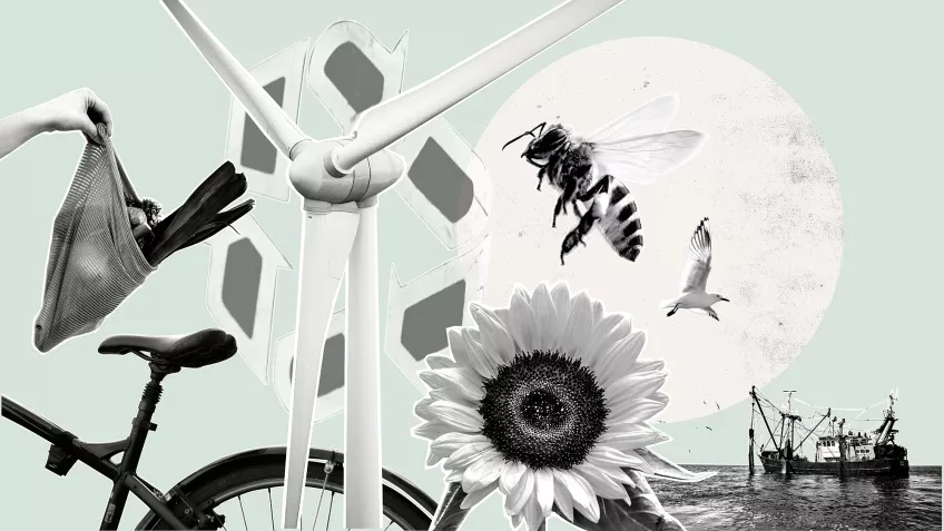 Kollage med en cykel, en återvinningssymbol, ett vindkraftverk, blommor och bin, fiskefartyg