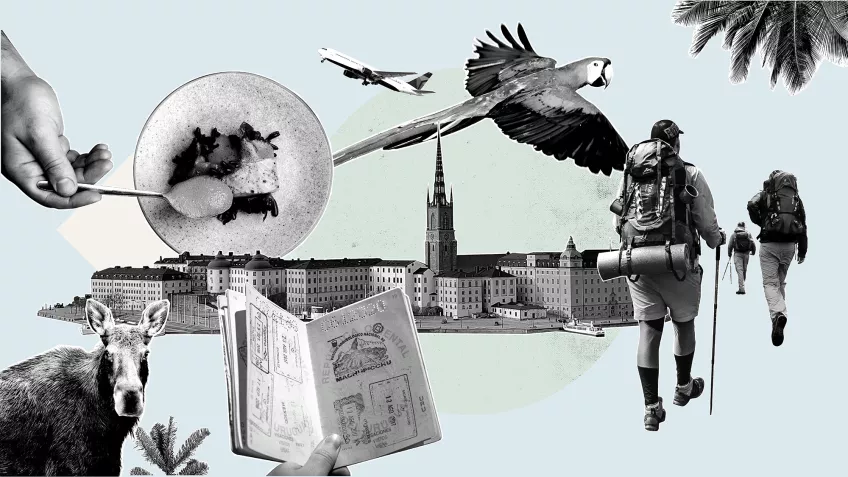 Kollage med en älg, ett pass, en papegoja, ett flygplan, människor som vandrar, en stadssiluett och fine dining